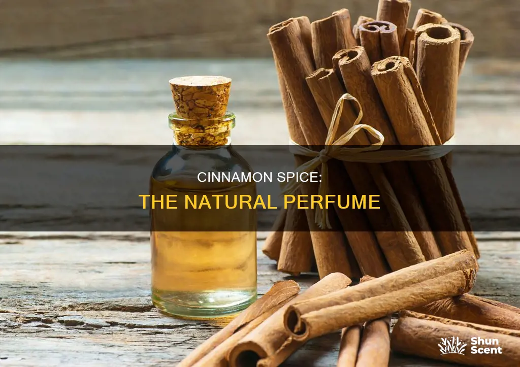 can you use cinnamon as perfume