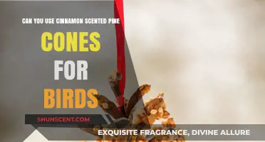 Cinnamon Scented Pine Cones: Safe and Attractive for Birds?