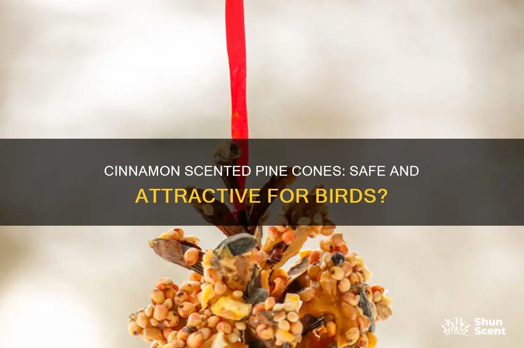 can you use cinnamon scented pine cones for birds