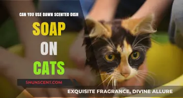 Is Dawn Scented Dish Soap Safe for Bathing Cats?