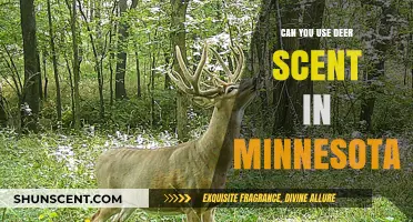 Using Deer Scent in Minnesota: Legal Hunting Practices Explained