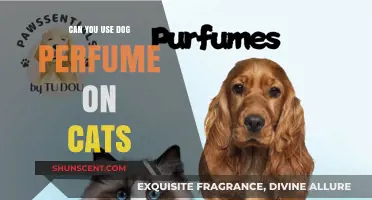 Pet Perfume: Can Cats Use Dog Fragrances?