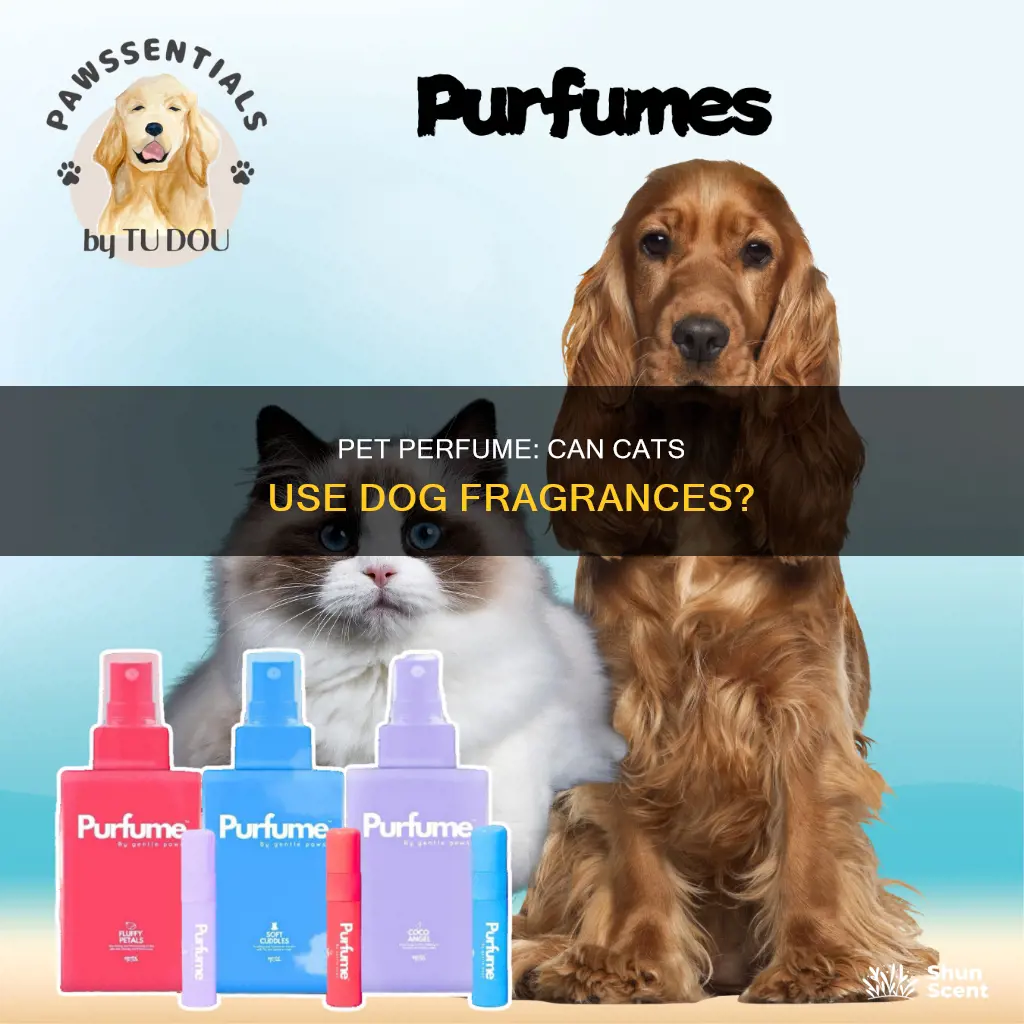 can you use dog perfume on cats