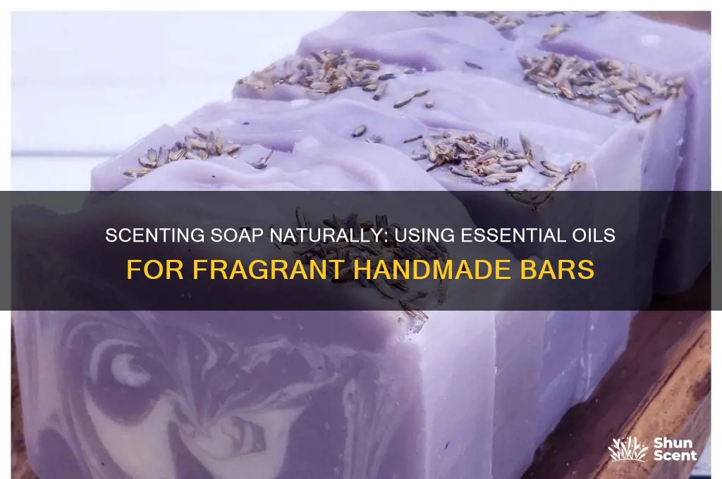 can you use essential oils to scent soap