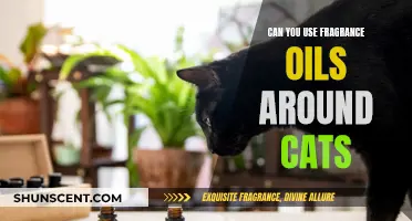 Are Fragrance Oils Safe for Cats?