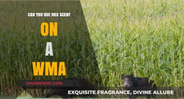 Using Hog Scent on WMA: Rules, Effectiveness, and Ethical Considerations