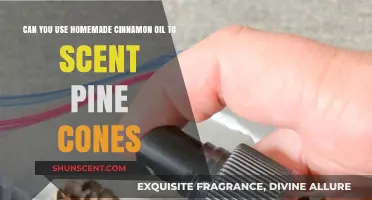 Scenting Pine Cones with Homemade Cinnamon Oil: A DIY Guide