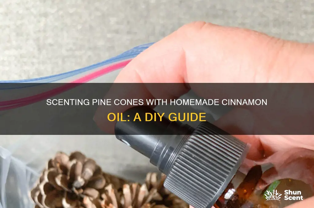 can you use homemade cinnamon oil to scent pine cones