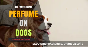 Perfumes for Dogs: Safe or Not?