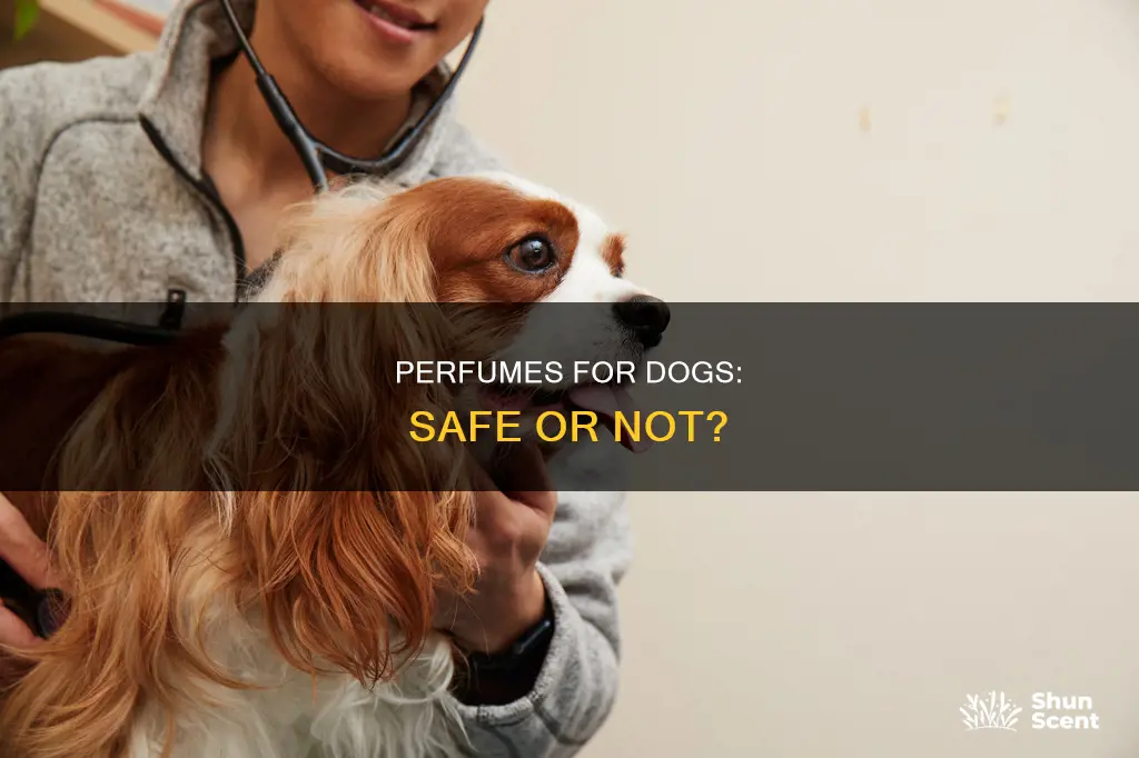 can you use human perfume on dogs