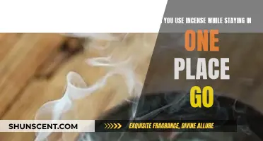 Incense: Enhancing Your Space and Mind on the Go