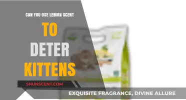 Using Lemon Scent to Deter Kittens: Effective or Just a Myth?