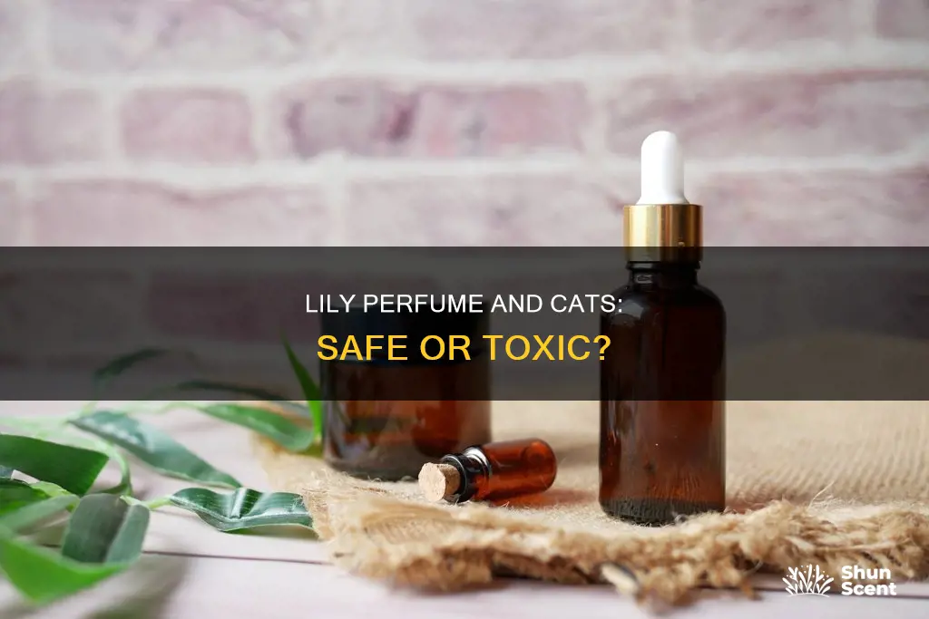 can you use lily perfume with cats