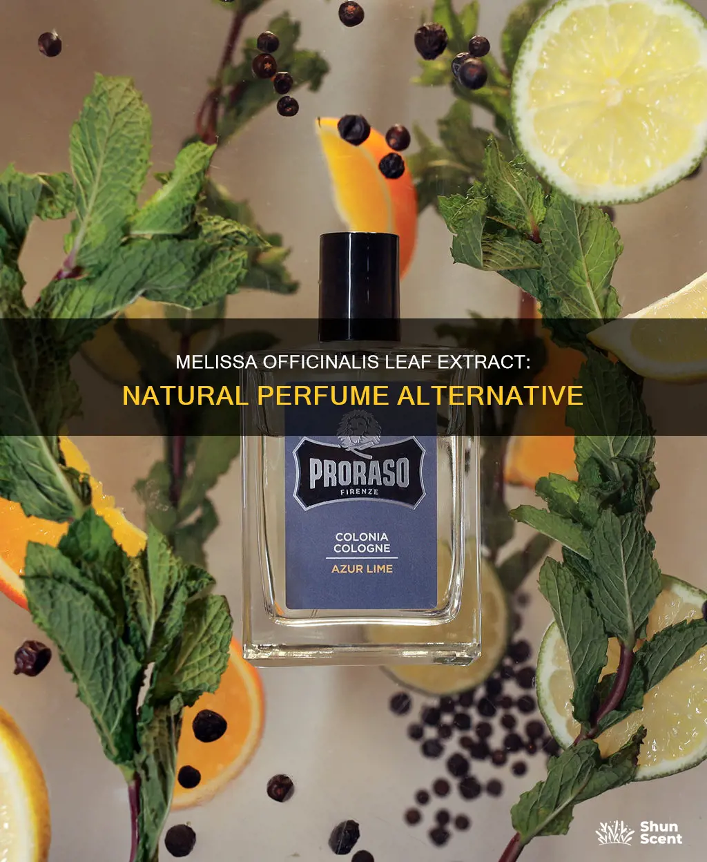 can you use melissa officinalis leaf extract as perfume