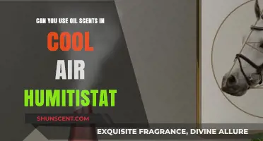 Using Oil Scents in Cool Air Humidifiers: Safe or Risky?