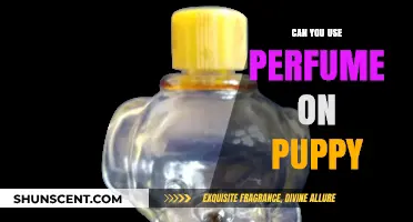 Should You Spray Perfume on Your Puppy?