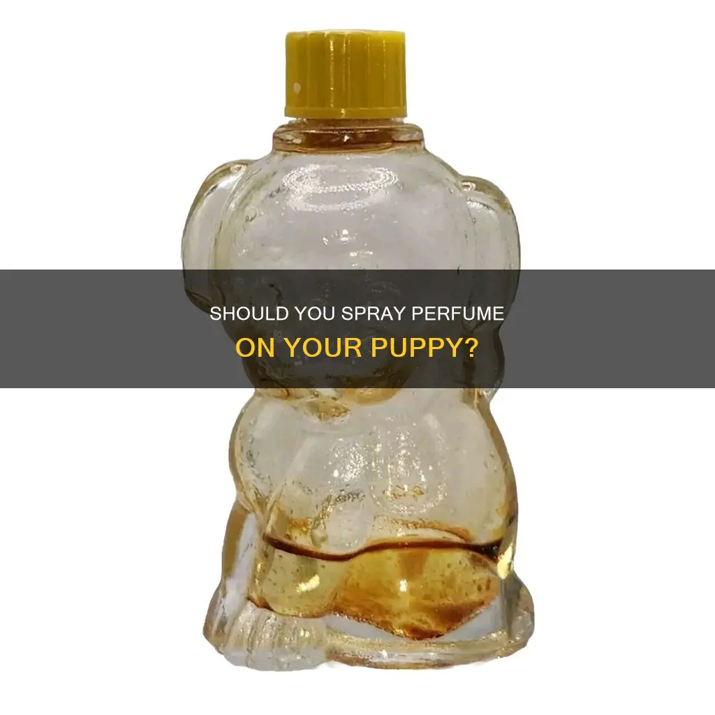 can you use perfume on puppy