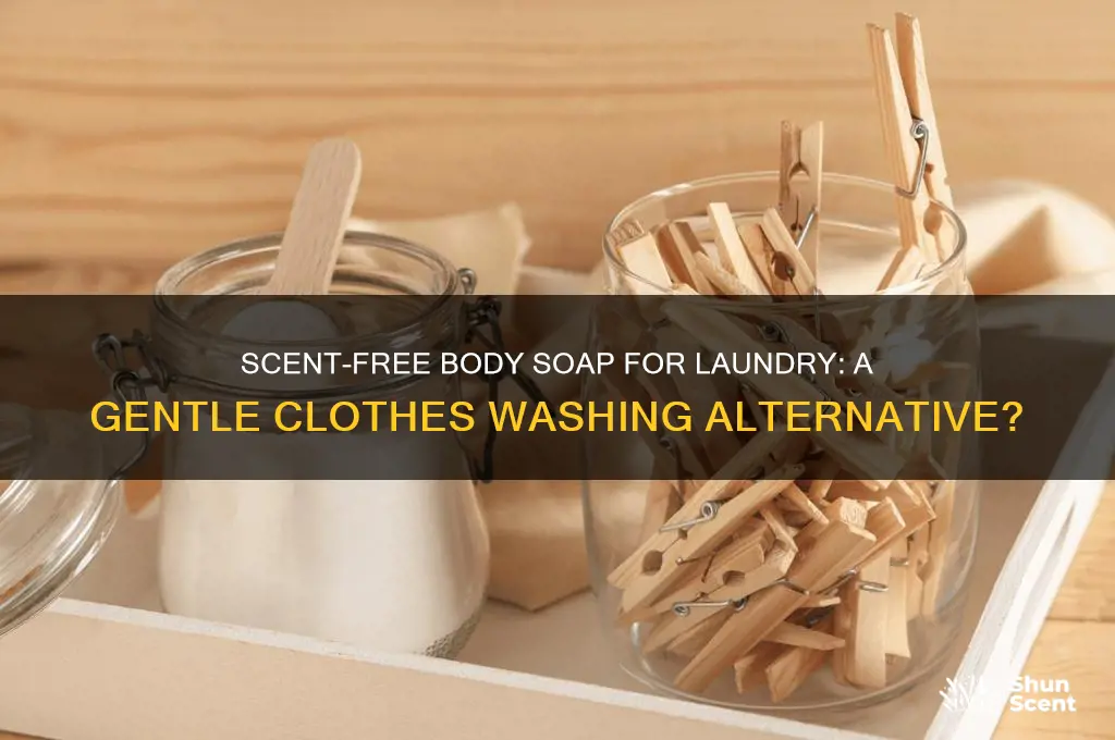 can you use scent free body soap to wash clothes