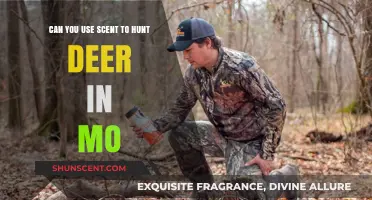 Using Scent Strategically: Enhancing Deer Hunting Success in Missouri
