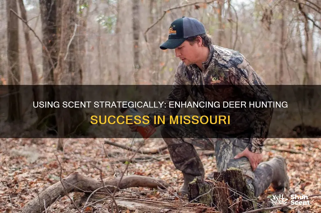 can you use scent to hunt deer in mo