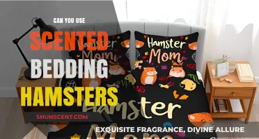 Scented Bedding for Hamsters: Safe or Harmful Choice?