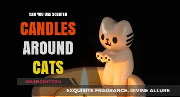 Are Scented Candles Safe for Cats? A Pet Owner's Guide