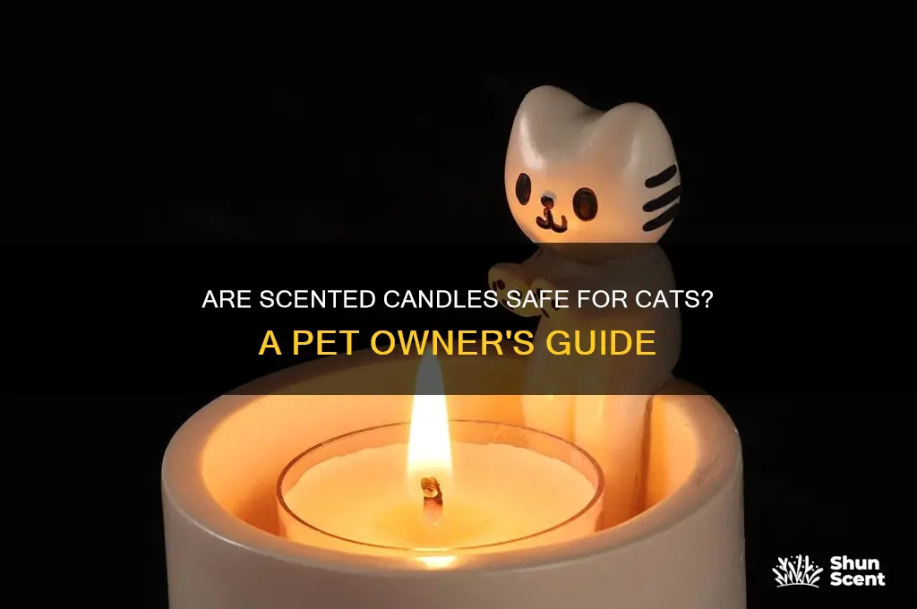 can you use scented candles around cats