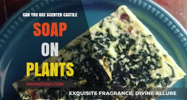 Using Scented Castile Soap on Plants: Benefits, Risks, and Best Practices
