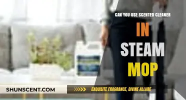 Using Scented Cleaners in Steam Mops: Safe or Risky Choice?