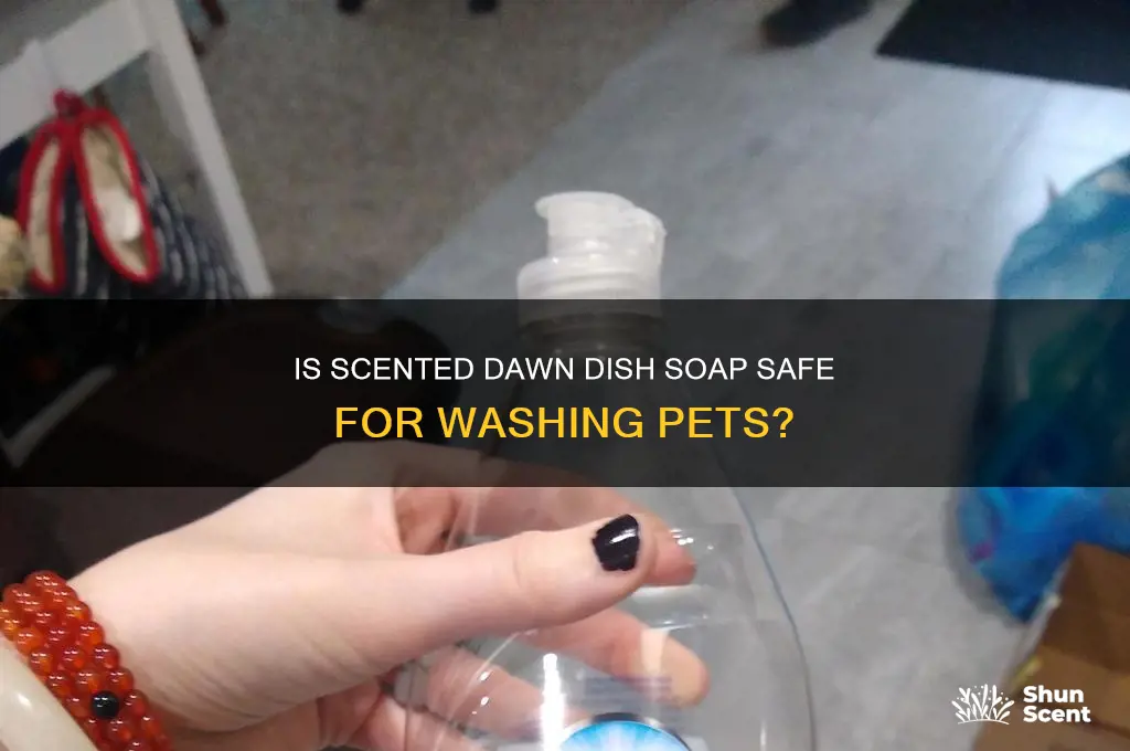 can you use scented dawn dish soap on animals