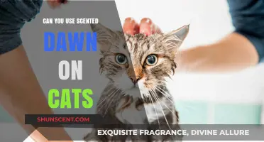 Is Scented Dawn Safe for Cats? A Pet Owner's Guide