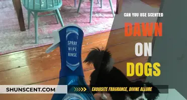 Is Scented Dawn Safe for Bathing Your Dog? Find Out!