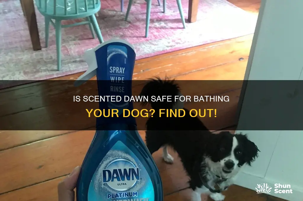 can you use scented dawn on dogs