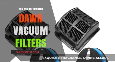 Scented Dawn Vacuum Filters: Are They Safe and Effective to Use?