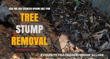 Scented Epsom Salt for Tree Stump Removal: Effective or Myth?