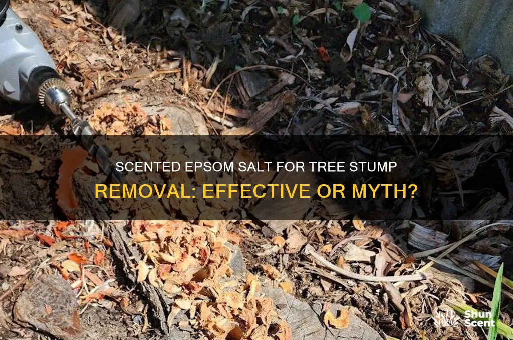 can you use scented epsom salt for tree stump removal