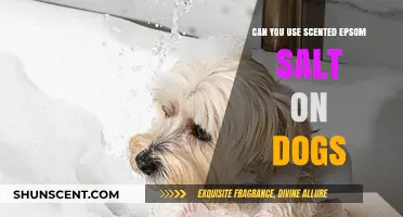 Using Scented Epsom Salt on Dogs: Safe or Risky Practice?
