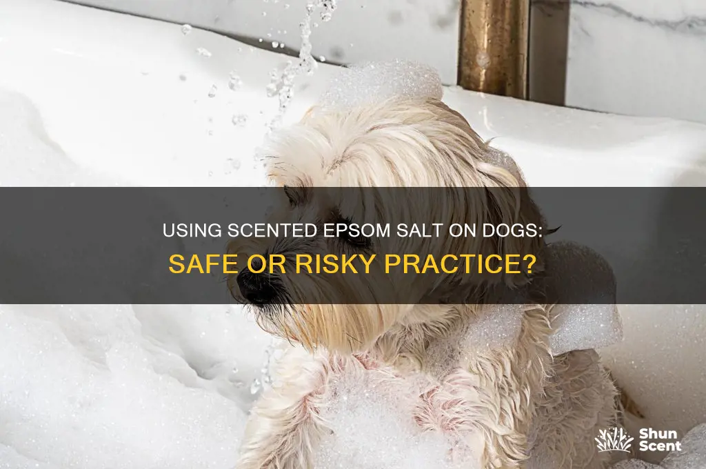 can you use scented epsom salt on dogs
