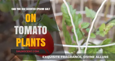 Scented Epsom Salt for Tomatoes: Benefits, Risks, and Best Practices