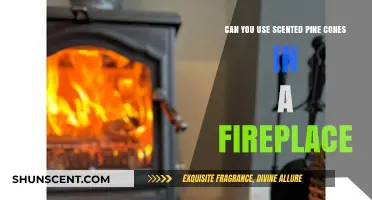 Scented Pine Cones in Fireplaces: Safe or Smoky Mistake?