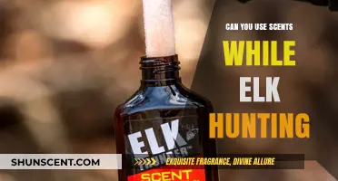 Using Scents While Elk Hunting: Effective Strategy or Costly Mistake?