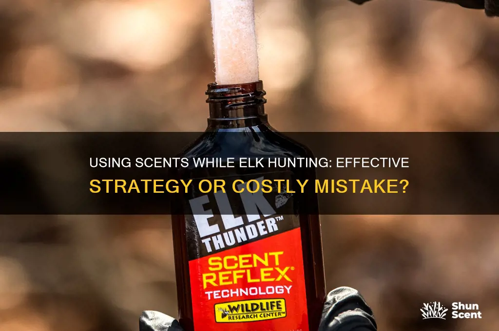 can you use scents while elk hunting