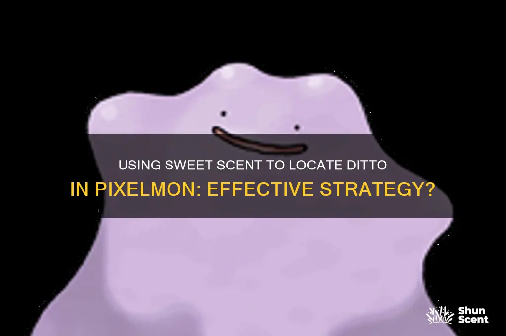 can you use sweet scent to find ditto pixelmon