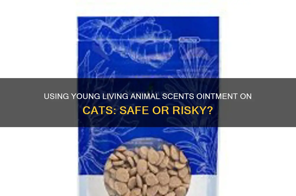 can you use young living animal scents ointment on cats