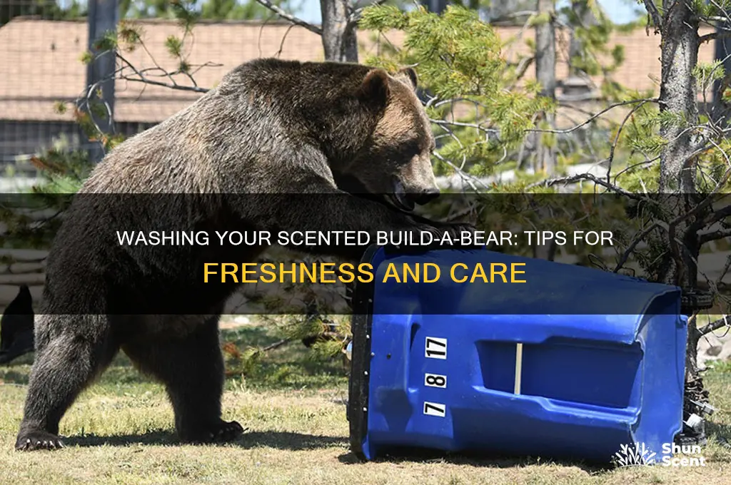 can you wash a build a bear with a scent
