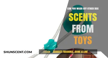 Removing Other Dog Scents from Toys: Effective Washing Tips for Pet Owners