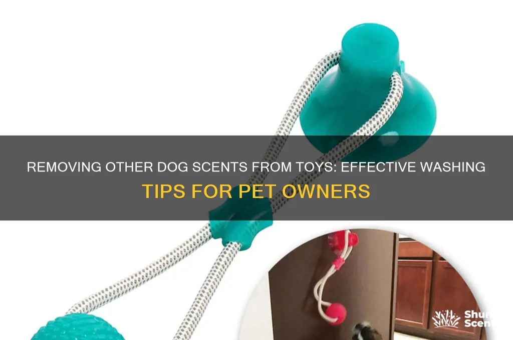 can you wash off other dog scents from toys