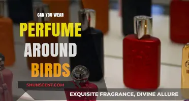 Perfumes and Birds: A Safe Combination?