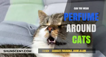 Perfumes and Cats: A Safe Mix?