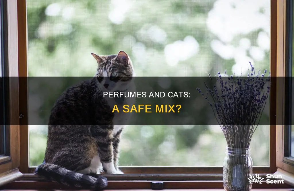 can you wear perfume around cats